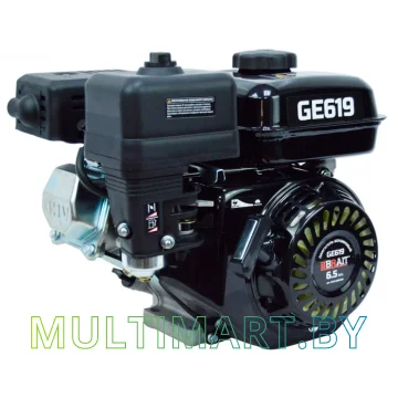 Бензиновый двигатель Brait GE619 картинка 2